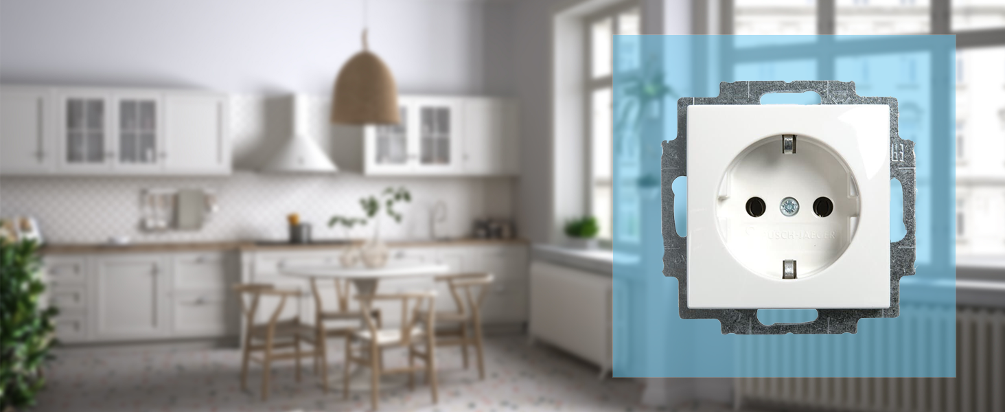 Steckdose Busch-Jaeger