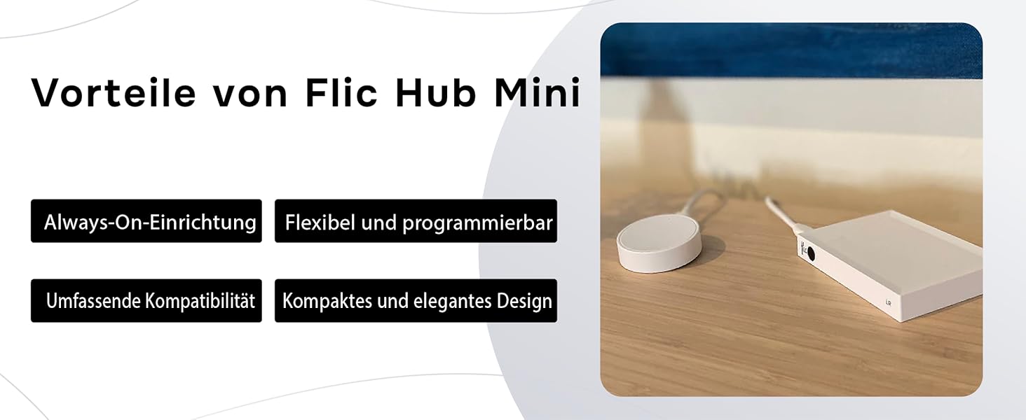 Flic hub mini
