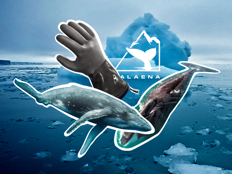 winterhandschuhe wasserdicht