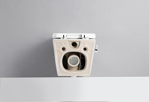 Taharet Dusch WC inkl. Kalt- und Warmwasser Armatur und Soft-Close Sitz - Cheap-Us