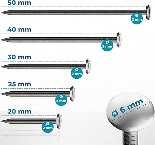 FIXXIA 50 Stahlnägel mit silberfarben Kopf gemischte Längen 20/25/30/40/50mm, Bildernägel, Nägel zum Bilder aufhängen, Bildaufhänger, Betonnägel, Aufhänger für Bilder (ohne Einschlaghilfe) - Cheap-Us