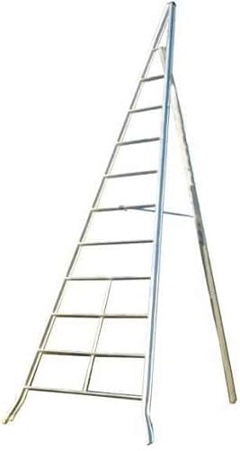 FACAL Agri, Obstbaumleiter, die ideale Steighilfe aus Aluminium zum Beschneiden, Pflegen und Ernten, Arbeitshöhe 3,5m, 6 Sprossen - Cheap-Us