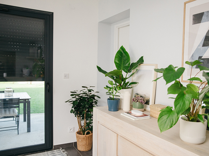 connectivity kit, somfy, rollladenmotor