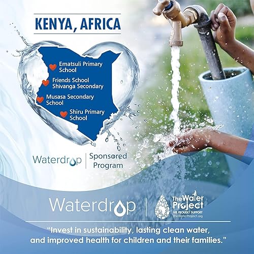 Waterdrop WD-FF-01A NSF/ANSI Standard Zertifiziert Ersatzfilter für das ACF-Wasserhahnfiltersystem, Reduziert Chlor, Geschmack und Geruch, Halt Bis zu 9 Monate (3 Pack) - Cheap-Us