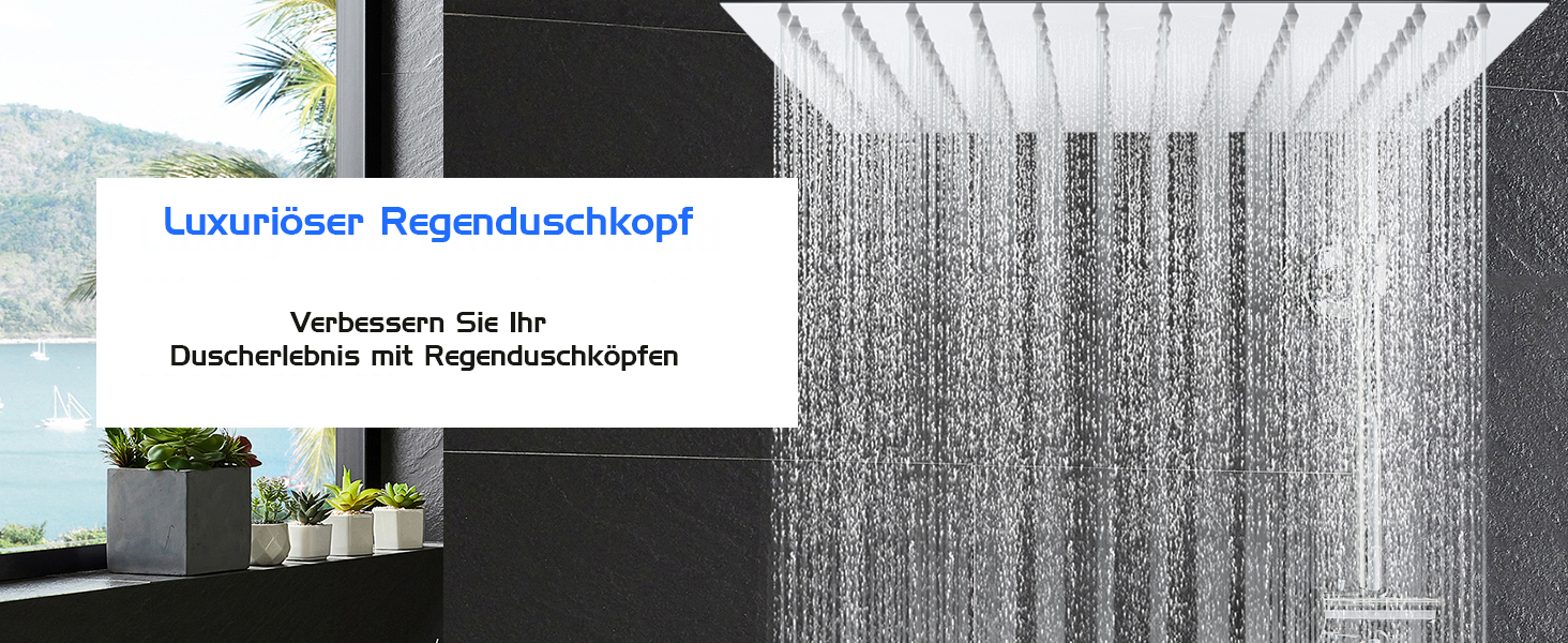 Kopfbrause Regendusche