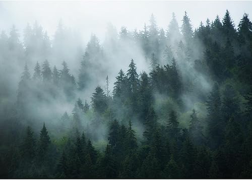 Runa Art Fototapete Wald Nebel 352 x 250 cm Vlies Tapeten XXL Moderne Wandtapete Wohnzimmer Schlafzimmer Grün 9552011a - Cheap-Us