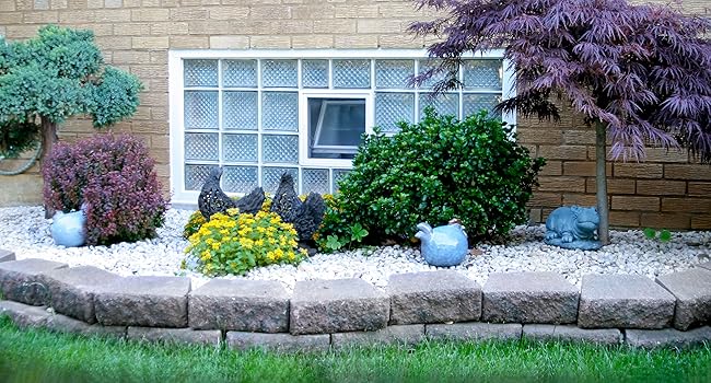 Lüftungsfenster Fliegengitter glasbausteine kellerfenster