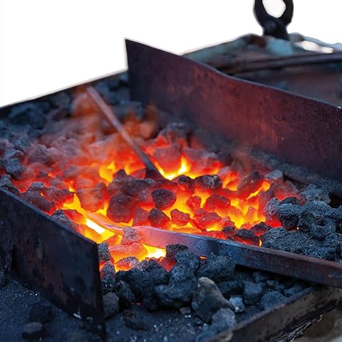 PALIGO Kokskohle Mittel 20-40mm 20kg Sack 1 Paket Steinkohle Nusskohle Schmiedekohle Schmiedekoks Heizkohle Kesselkohle Esskohle Fettkohle Fettnuss Kohle Koks Kamin Ofen Imex Piechota - Cheap-Us