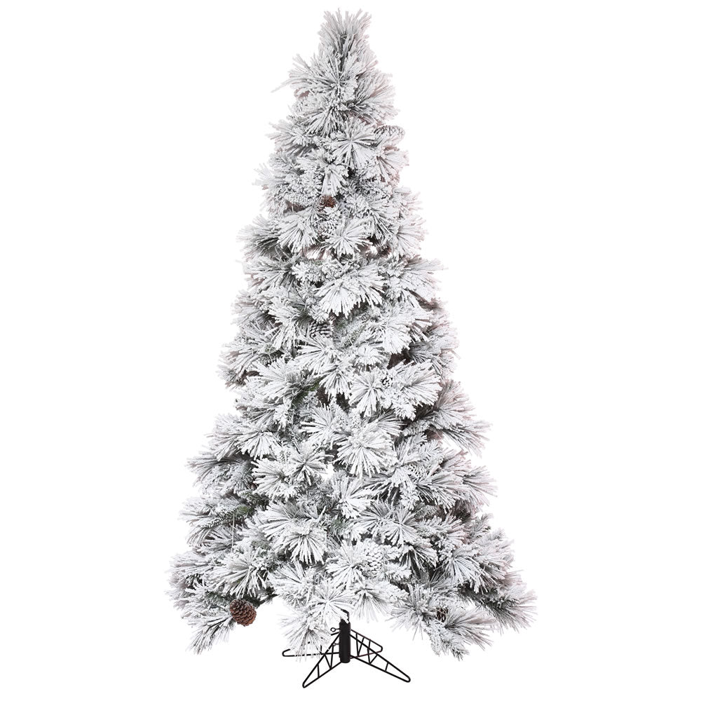 Vickerman 9' x 59
