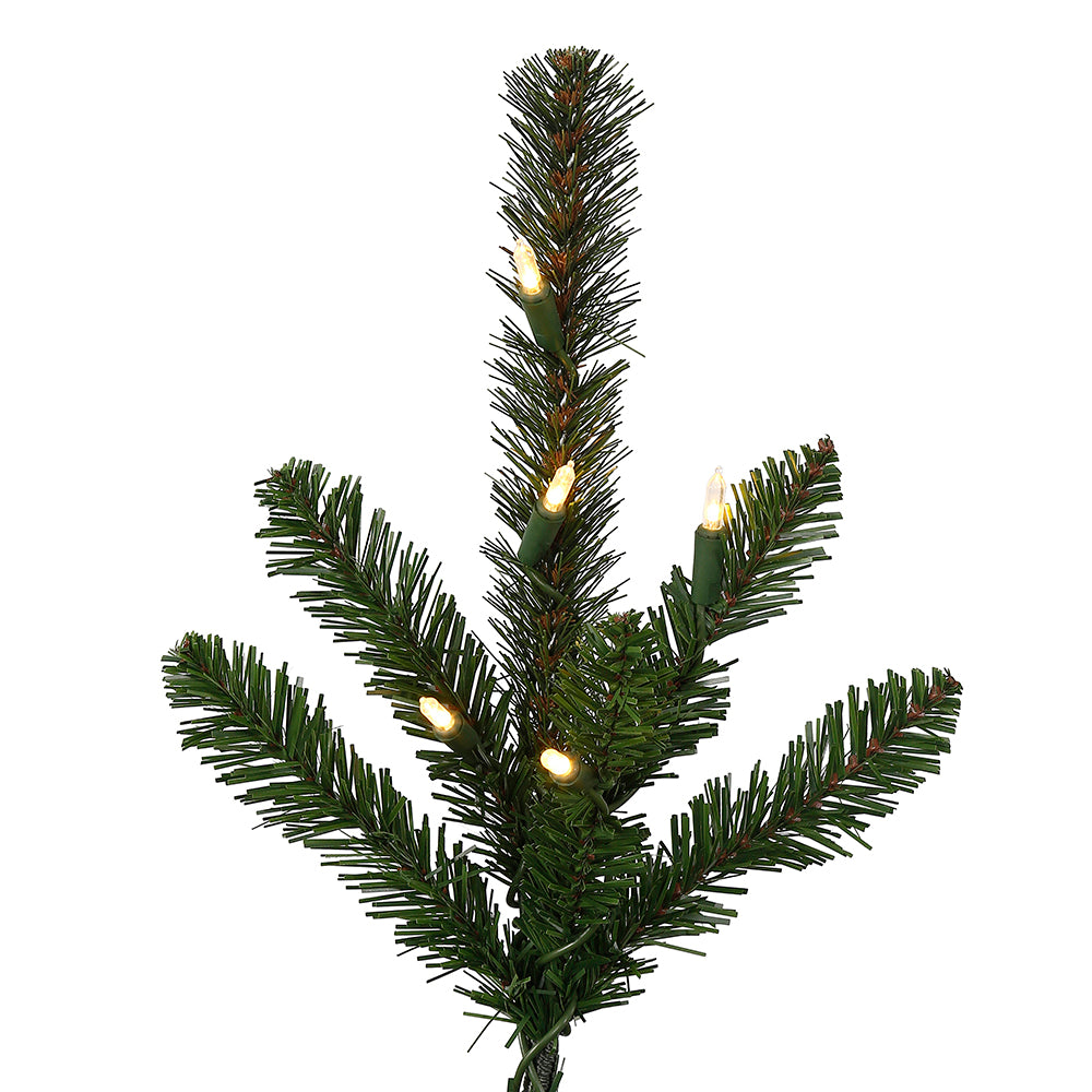 Vickerman 9' x 68