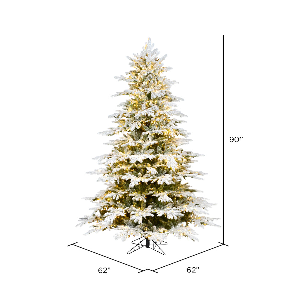 Vickerman 7.5' x 62