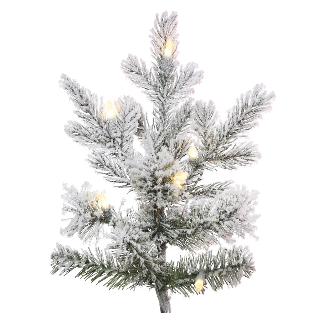 Vickerman 6.5' x 54