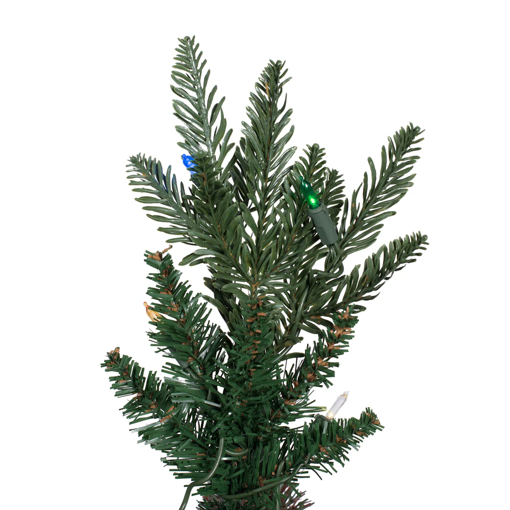Vickerman 6.5' x 24