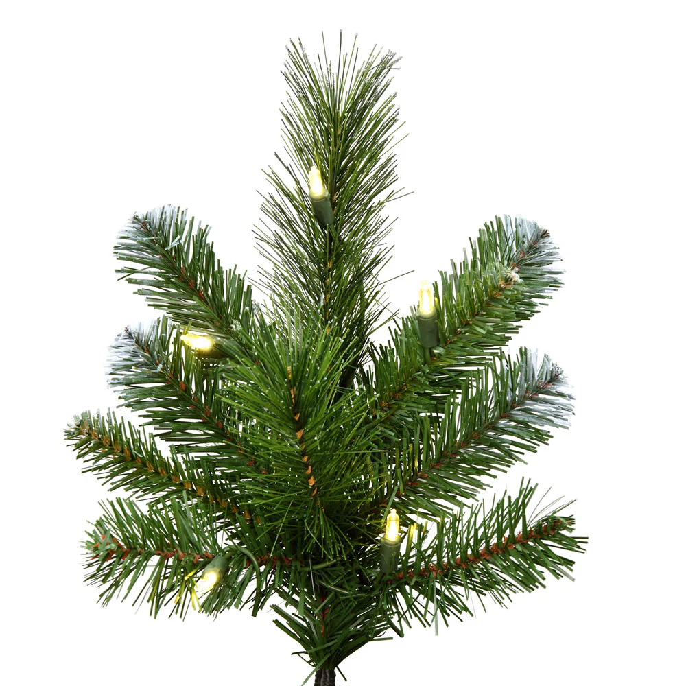 Vickerman 9' x 66