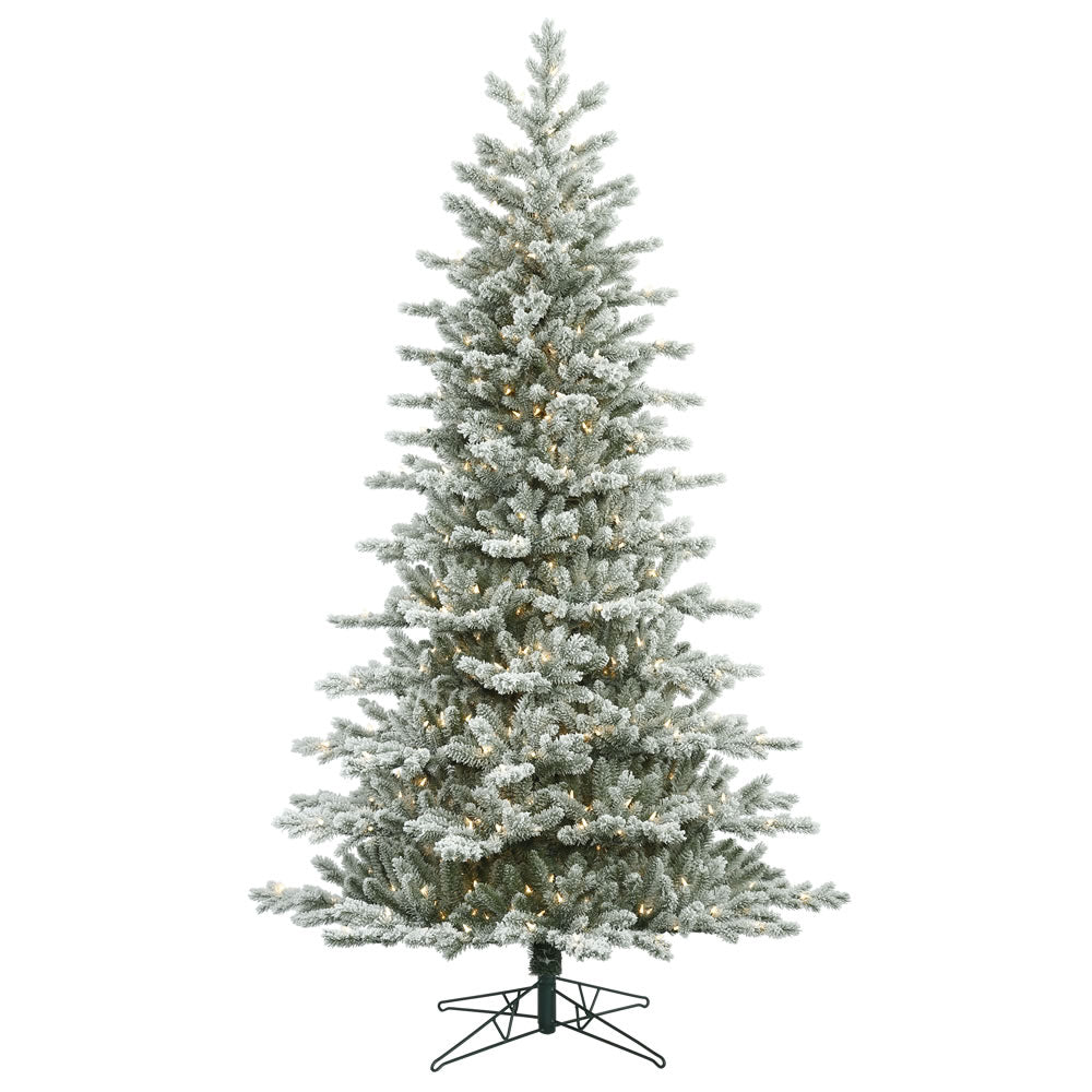 Vickerman 10' Frosted Eastern Fraser Fir Artificial Christmas Tree Clear Dura-lit Lights - Cheap-Us
