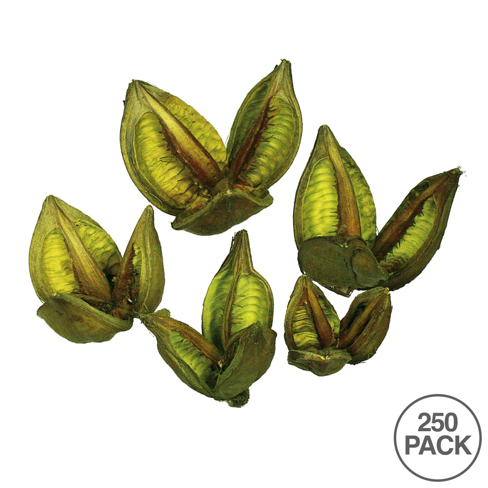Vickerman 3-4