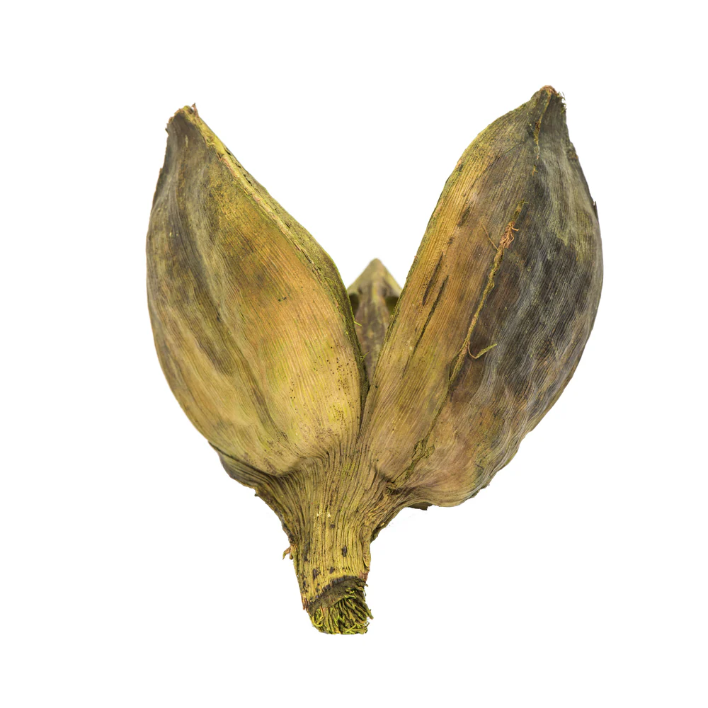 Vickerman 3-4