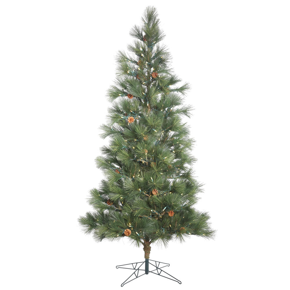 Vickerman 10.5' Redmond Spruce Artificial Christmas Tree with 1000 Warm White LED Lights - Cheap-Us