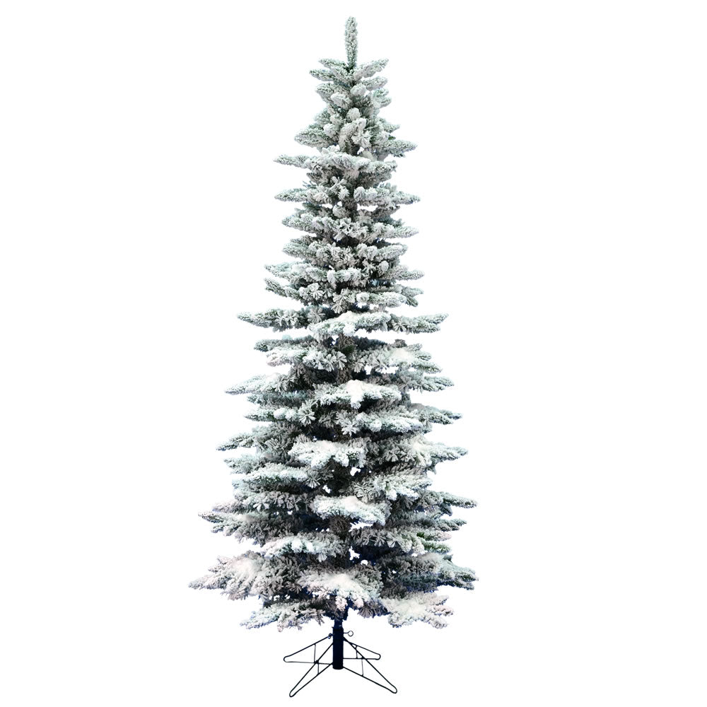 Vickerman 12' Flocked Utica Fir Slim Artificial Christmas Tree Unlit - Cheap-Us