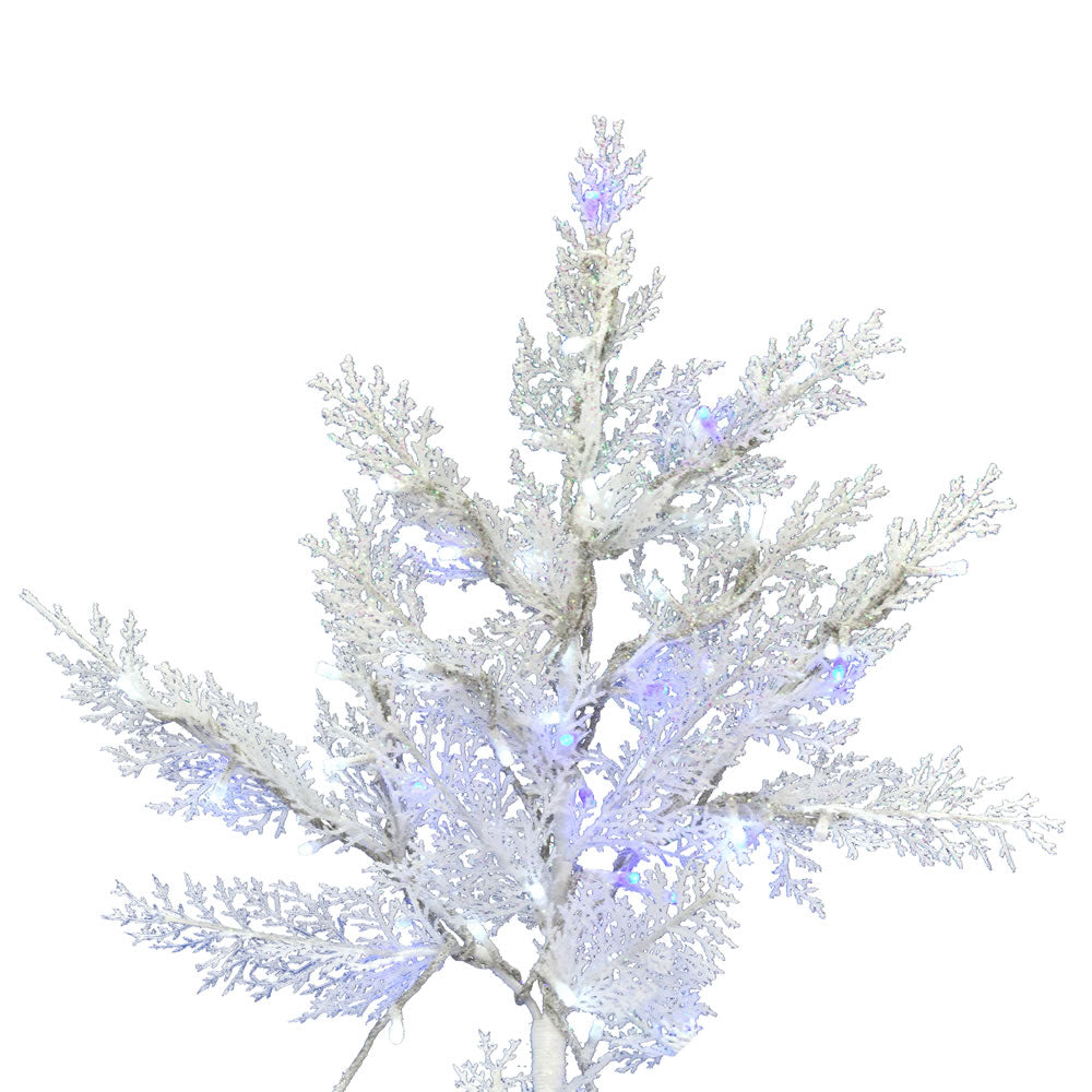 Vickerman 12' x 69