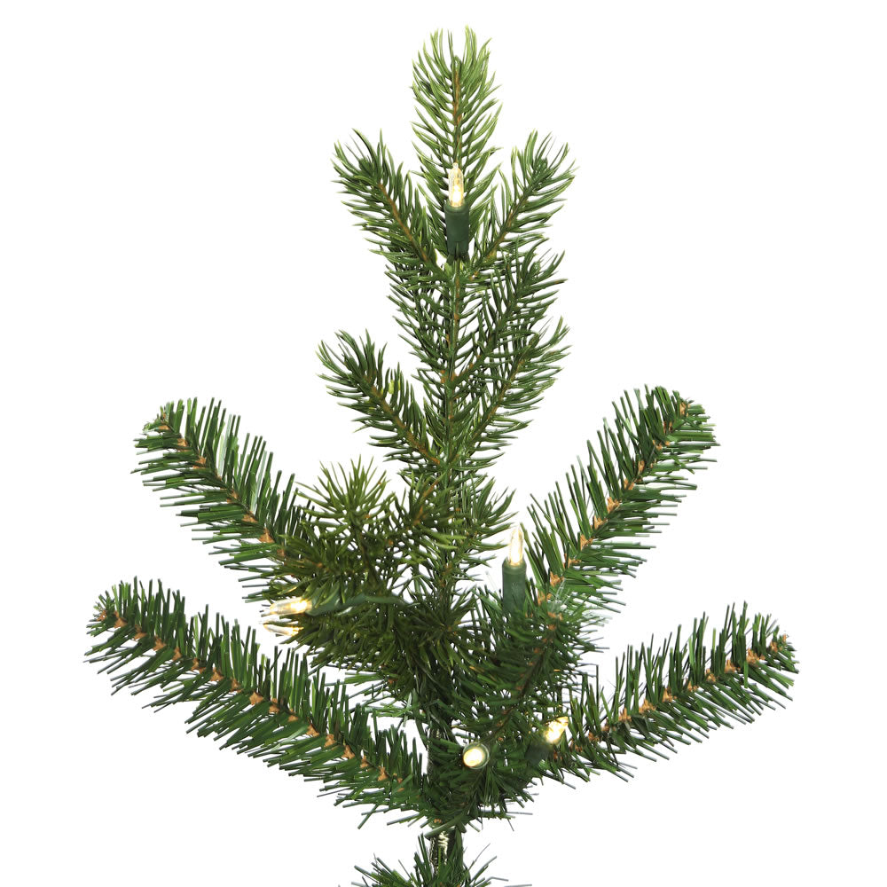 Vickerman 10' x 42