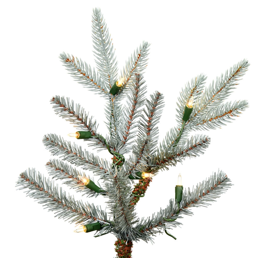 Vickerman 10' x 74