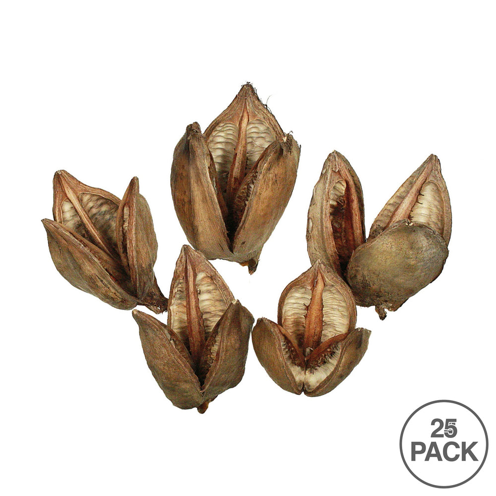 Vickerman 3-4