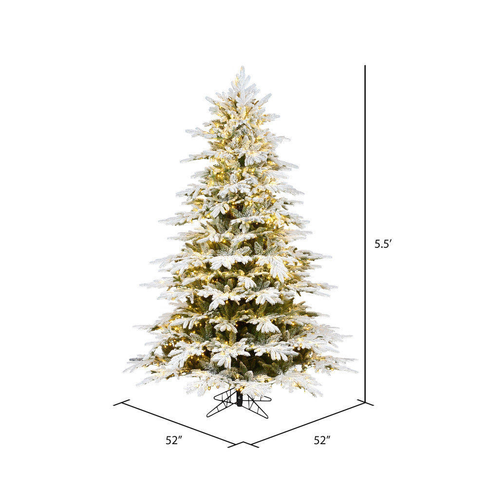 Vickerman 5.5' x 52