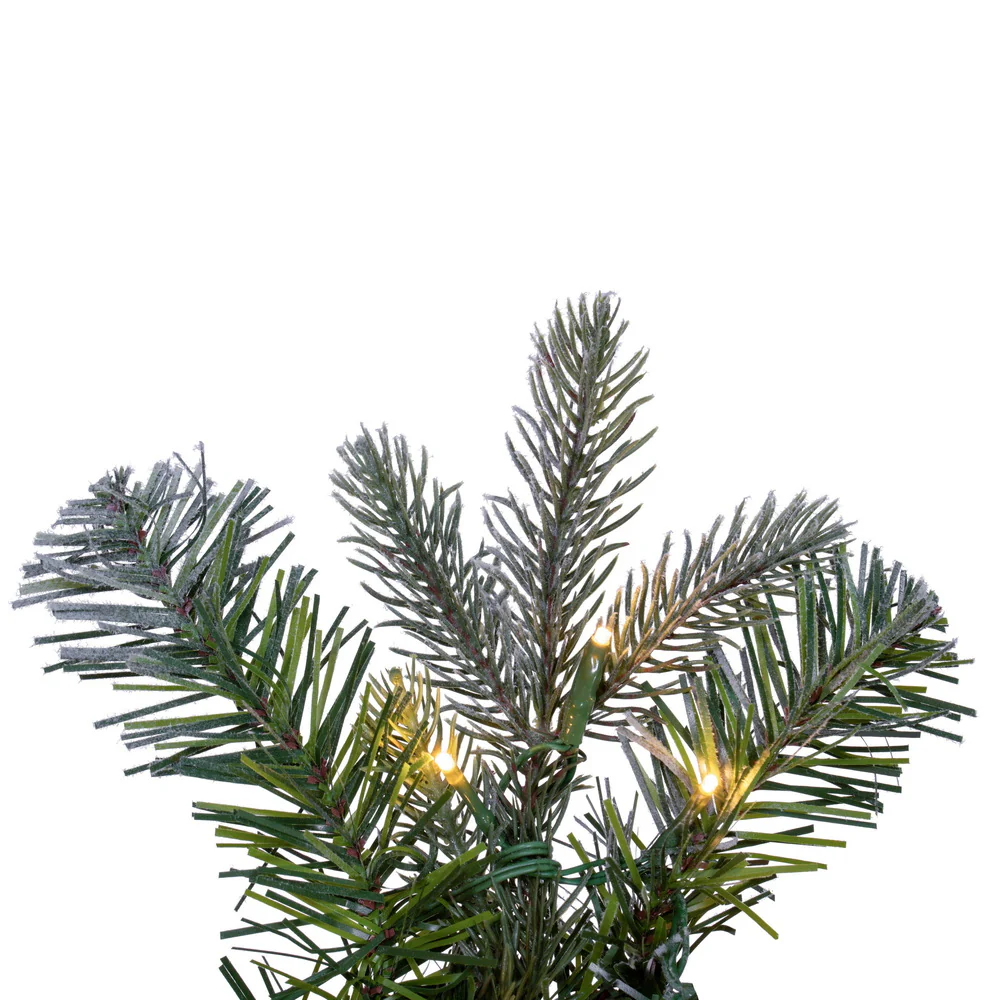 Vickerman 60