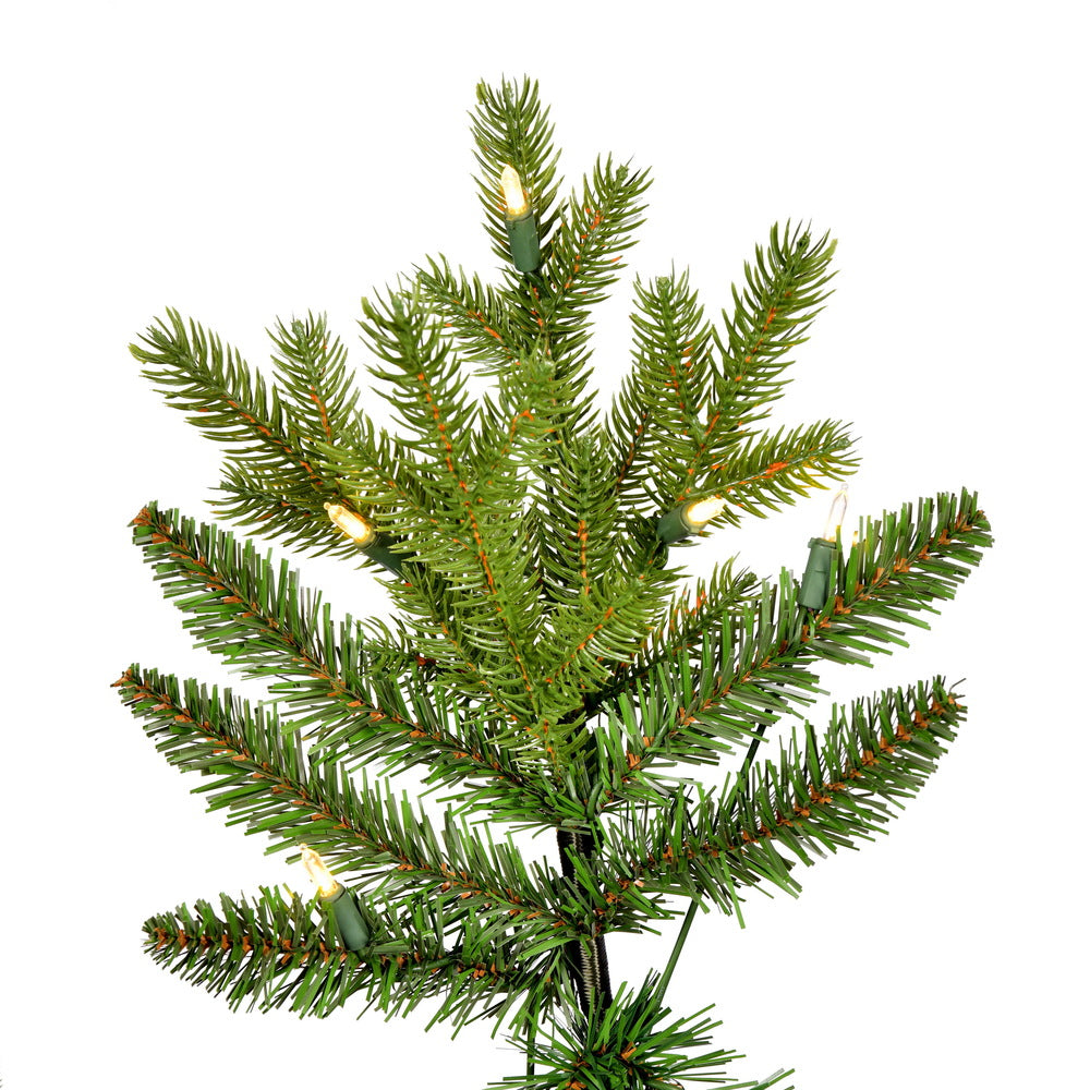 Vickerman 5.5' x 40