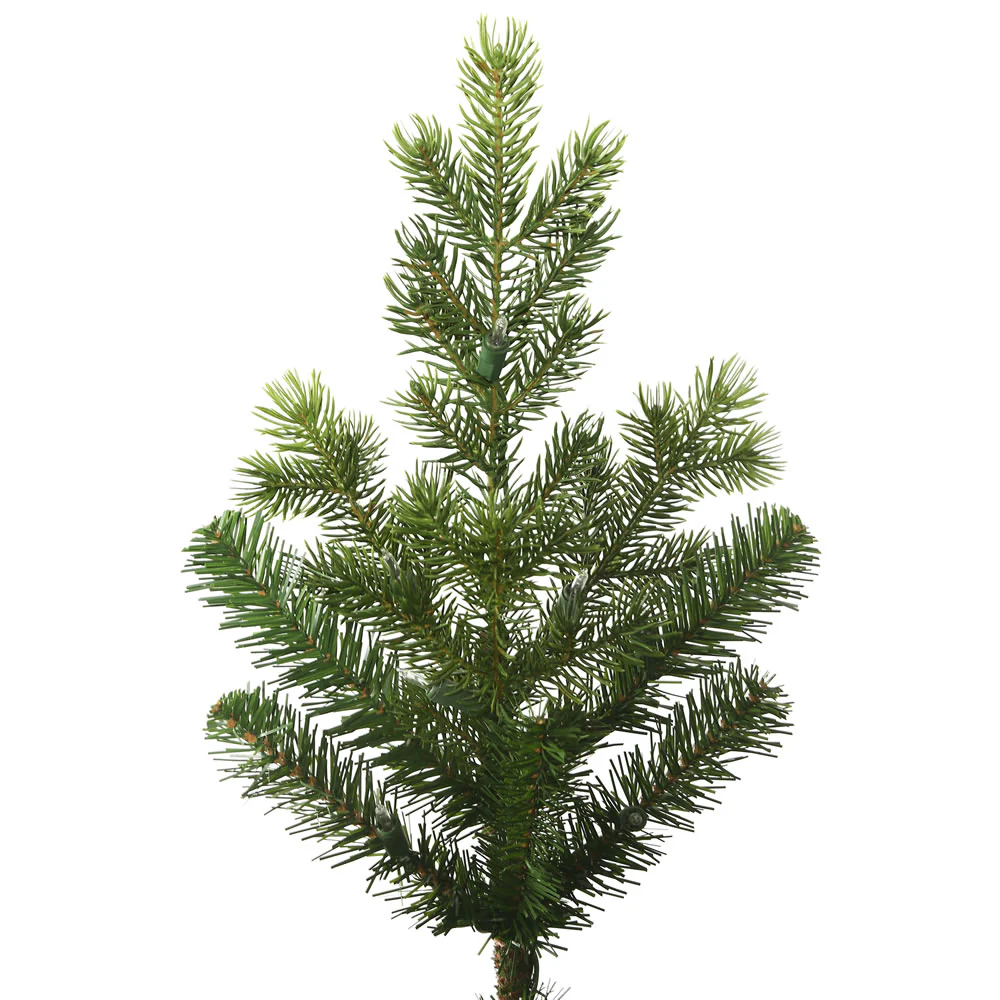 Vickerman 7.5' x 55