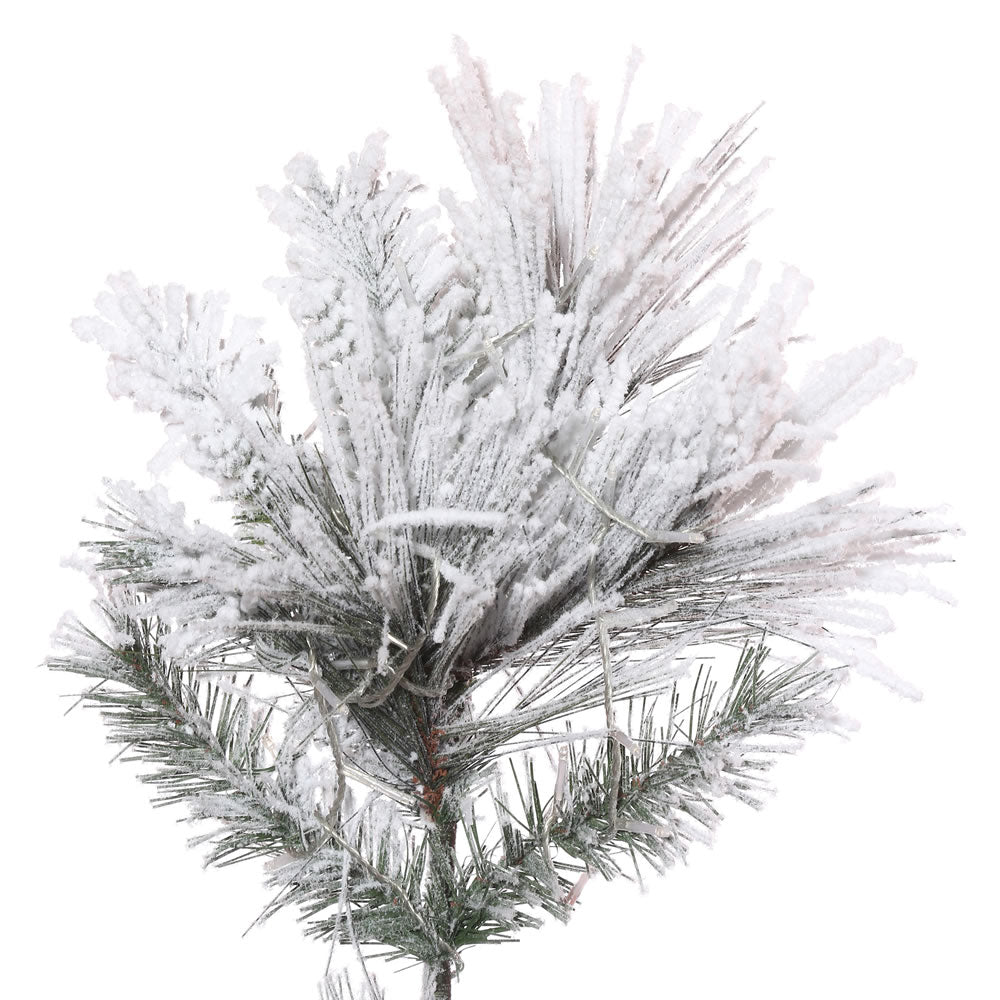 Vickerman 9' x 59