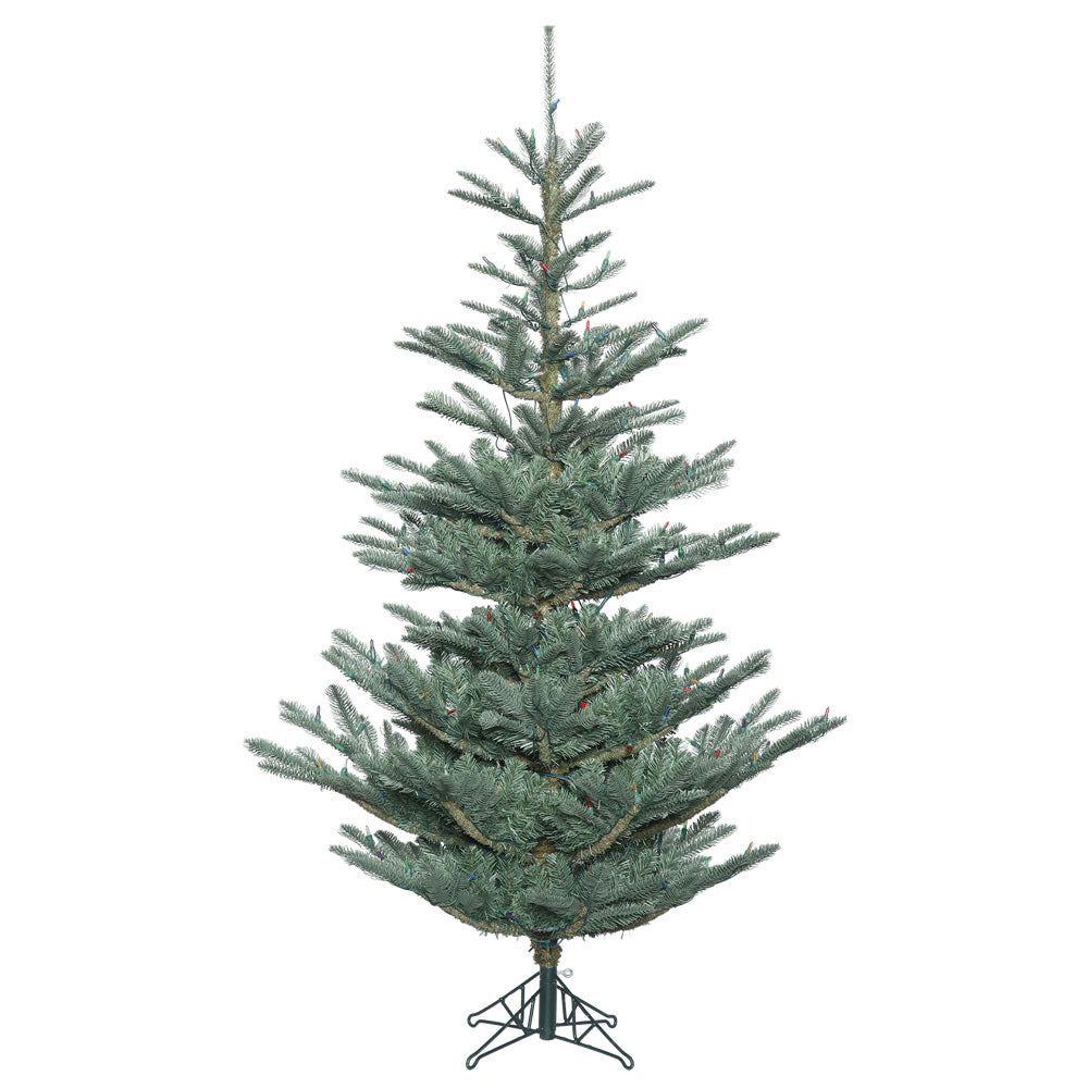 Vickerman 9' Alberta Blue Spruce Artificial Christmas Tree Unlit - Cheap-Us