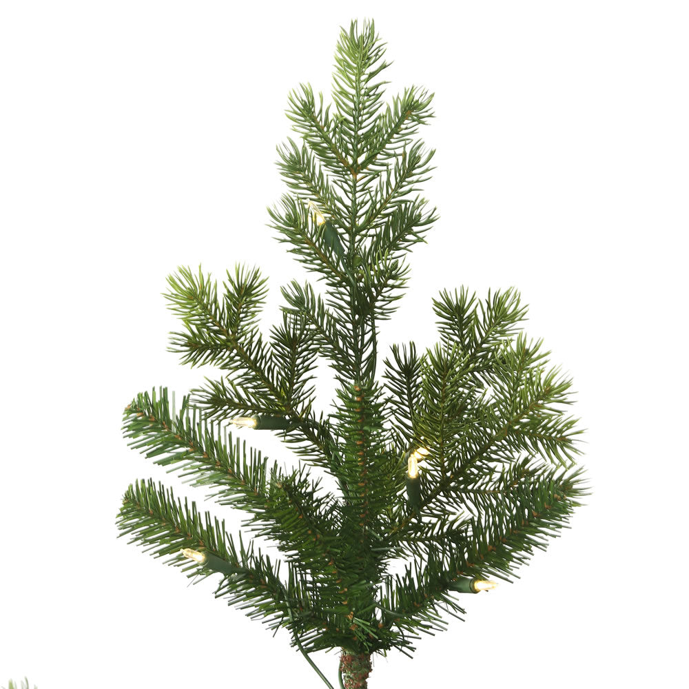 Vickerman 9' x 67