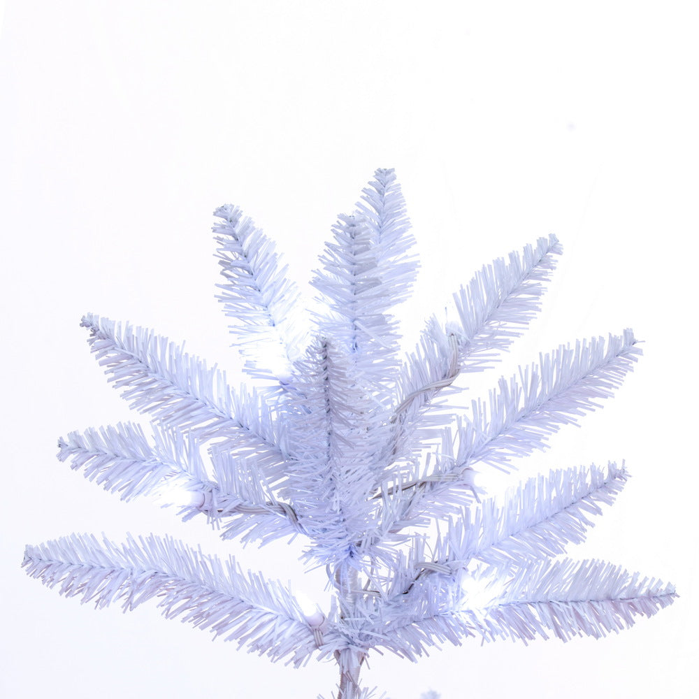 Vickerman 9' x 56