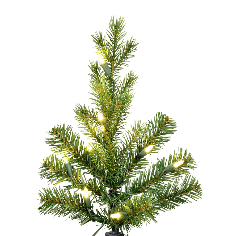 Vickerman 9' x 43