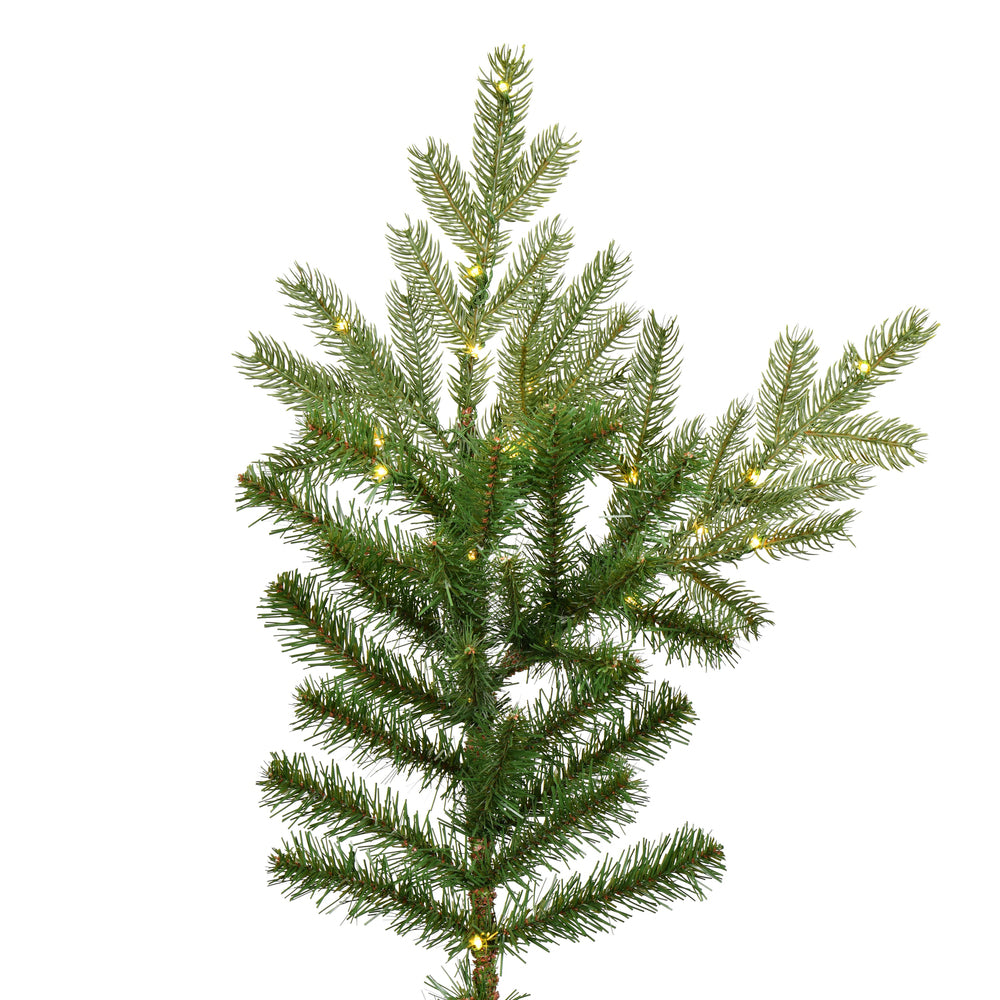 Vickerman 10' x 83