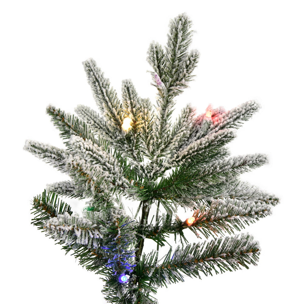 Vickerman 6.5' x 38
