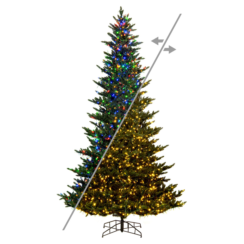 Vickerman 8.5' x 66