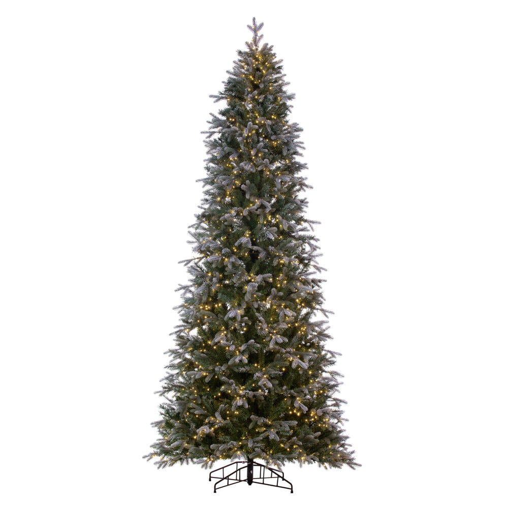 Vickerman 12' x 62