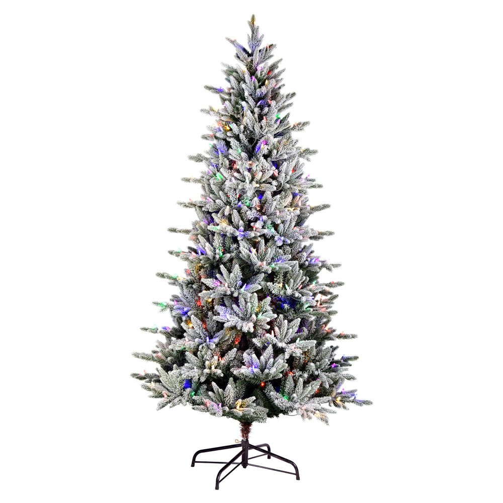 Vickerman 6.5' x 38