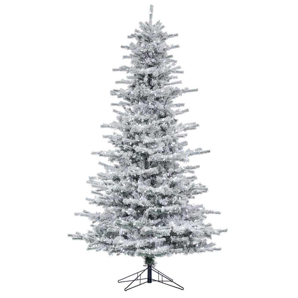Vickerman 8.5' Flocked Sierra Fir Artificial Christmas Tree with Pure White Single Mold LED lights - Cheap-Us