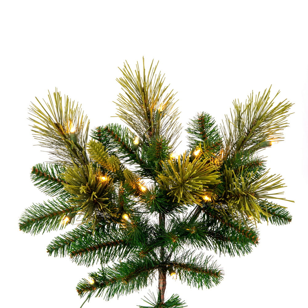 Vickerman 7.5' x 62