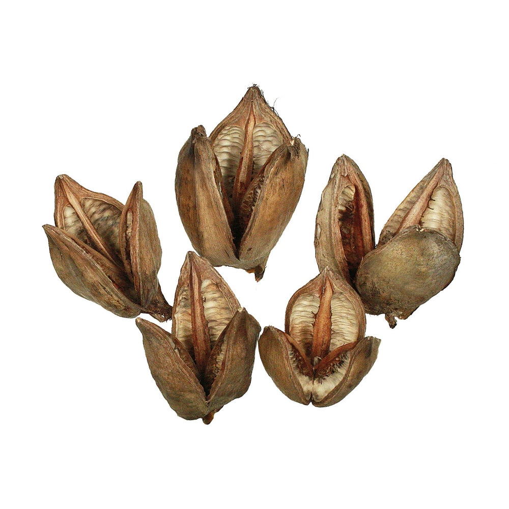 Vickerman 3-4