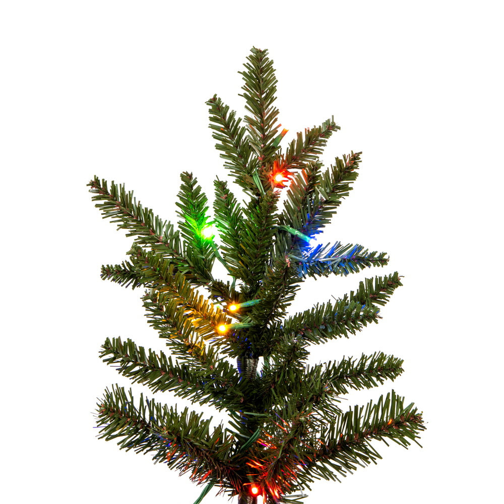 Vickerman 8.5' x 66