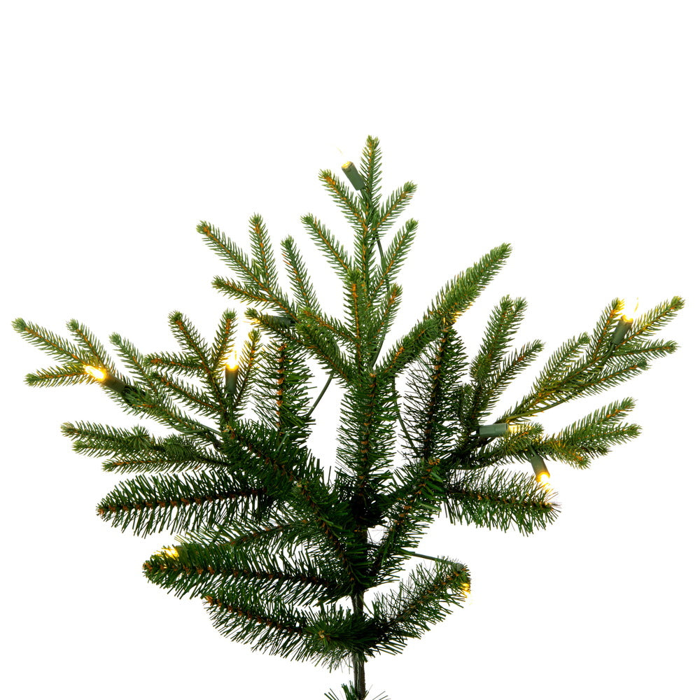 Vickerman 6.5' x 52