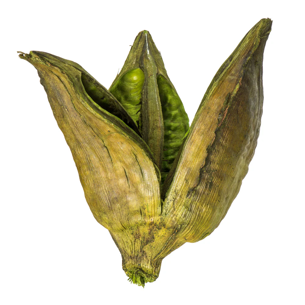 Vickerman 3-4