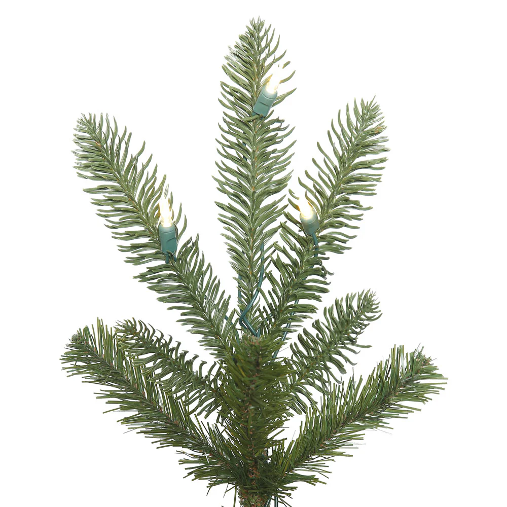 Vickerman 9' x 68
